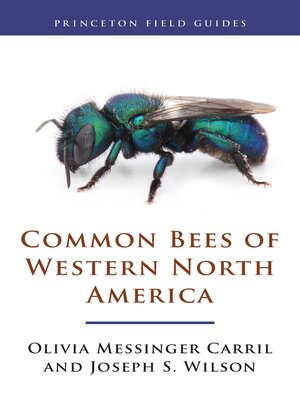 Common Bees of Western North America - ebook